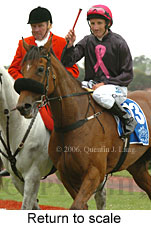 Return to scale (17769 bytes)