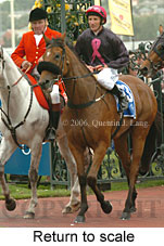 Return to scale (17769 bytes)