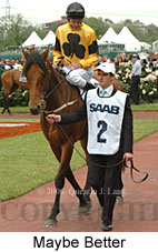 Maybe Better (21625 bytes)