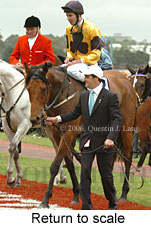 Return to scale (17769 bytes)