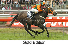 Gold Edition (21625 bytes)