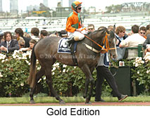 Gold Edition (21625 bytes)