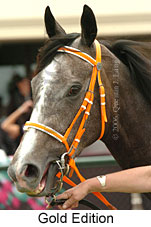 Gold Edition (21625 bytes)