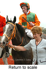 Return to scale (17769 bytes)