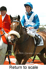 Return to scale (17769 bytes)