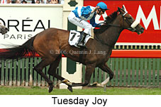 Tuesday Joy (21625 bytes)