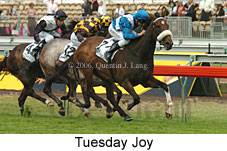 Tuesday Joy (21625 bytes)