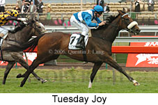 Tuesday Joy (21625 bytes)