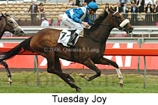 Tuesday Joy (21625 bytes)