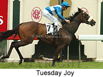 Tuesday Joy (21625 bytes)