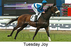 Tuesday Joy (21625 bytes)