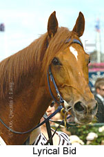 Lyrical Bid (21625 bytes)
