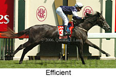 Efficient (17076 bytes)