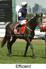 Efficient (21625 bytes)