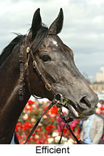 Efficient (21625 bytes)