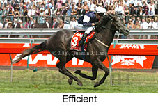 Efficient (21625 bytes)