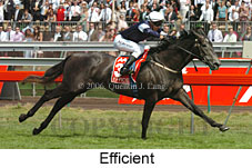 Efficient (21625 bytes)