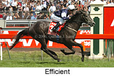 Efficient (21625 bytes)