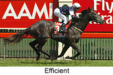 Efficient (21625 bytes)