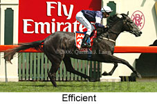 Efficient (21625 bytes)