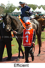 Efficient (21625 bytes)