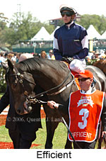 Efficient (21625 bytes)