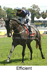 Efficient (21625 bytes)