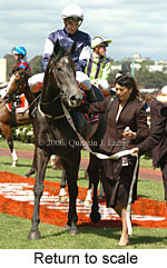 Return to scale (17769 bytes)