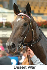 Desert War (21625 bytes)