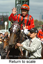 Return to scale (17769 bytes)