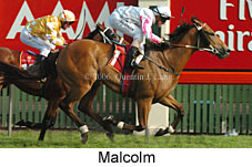 Malcolm (21625 bytes)