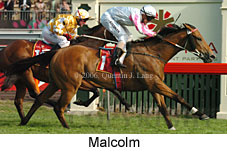 Malcolm (21625 bytes)