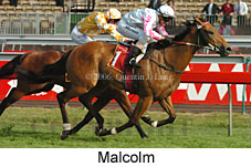 Malcolm (21625 bytes)