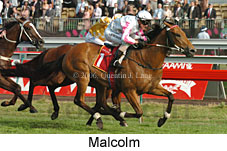 Malcolm (21625 bytes)