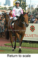 Return to scale (17769 bytes)