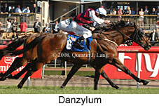 Danzylum (18507 bytes)