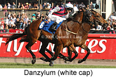 Danzylum (18507 bytes)