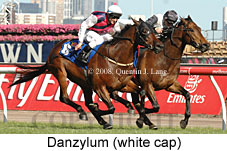 Danzylum (18507 bytes)