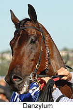 Danzylum (18507 bytes)