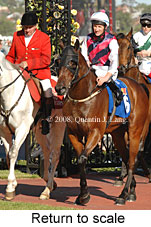 Return to scale (17769 bytes)