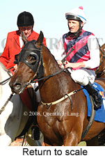 Return to scale (17769 bytes)