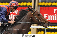 Rostova (18507 bytes)