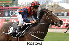 Rostova (18507 bytes)