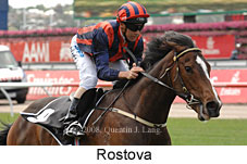 Rostova (18507 bytes)