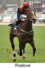 Rostova (18507 bytes)