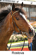 Rostova (18507 bytes)