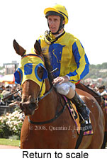 Return to scale (17769 bytes)