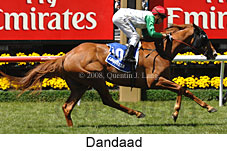 Dandaad (18507 bytes)