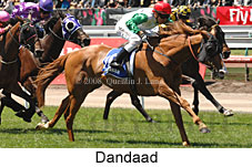 Dandaad (18507 bytes)