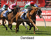 Dandaad (18507 bytes)